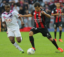Dario Cvitanich lors de Nice - Bordeaux