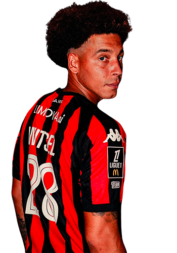 Axel Witsel