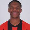 Mathis Fernandes Mendes