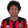 Gonçalo Araujo Pereira