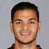 Hatem Ben Arfa